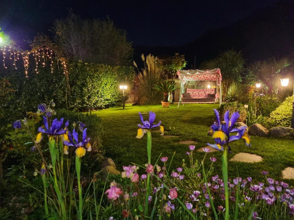 Casa Vacanze Family Albisola Superiore Eksteriør bilde