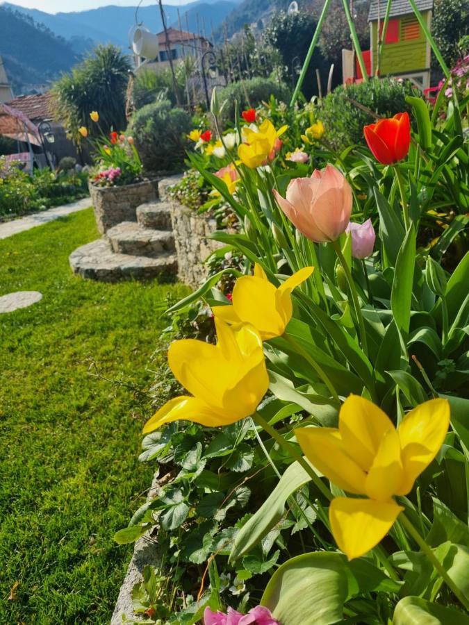 Casa Vacanze Family Albisola Superiore Eksteriør bilde