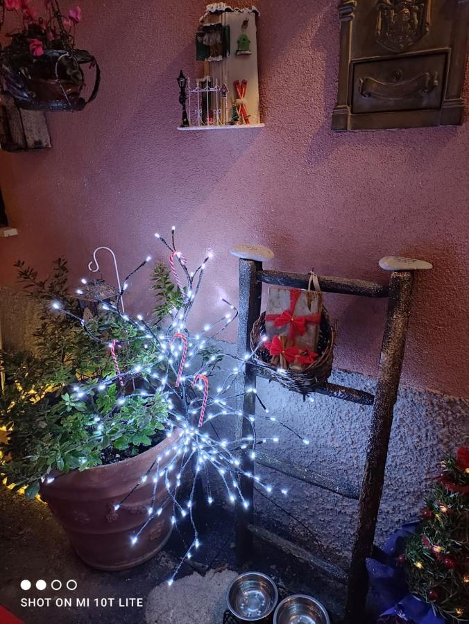 Casa Vacanze Family Albisola Superiore Eksteriør bilde